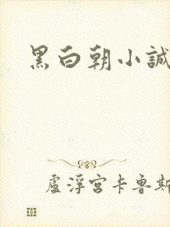 黑白朝小诚