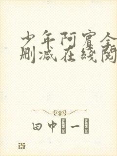 少年阿宾全文无删减在线阅读