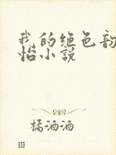 我的绝色韵母郑怡小说封面