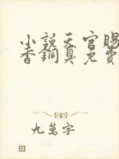 小说天官赐福墨香铜臭免费阅读全文