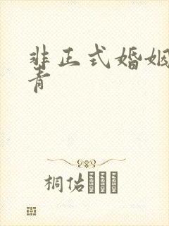 非正式婚姻雾里青封面