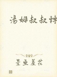 汤姆叔叔转接口