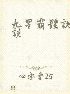 九星霸体诀 小说