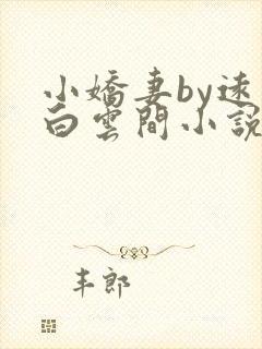 小娇妻by远上白云间小说笔趣阁