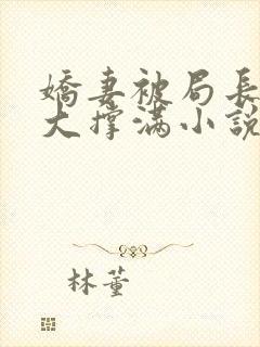 娇妻被局长的粗大撑满小说