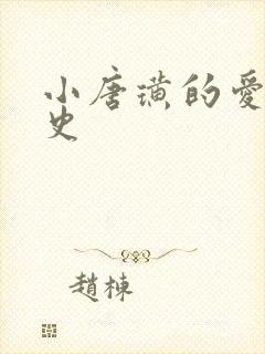 小唐璜的爱情历史封面