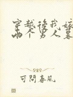 穿越后我嫁给了两个男人暮色酒歌