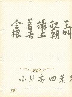 含着摄政王的紫根去上朝叫什么封面