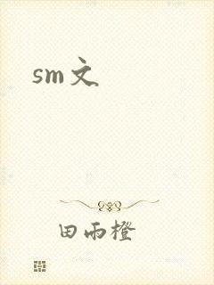 sm文