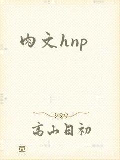 肉文hnp