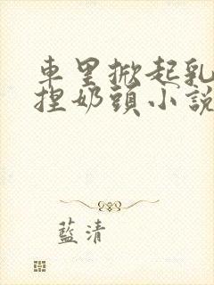 车里掀起乳罩揉捏奶头小说