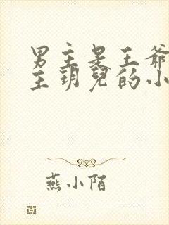 男主是王爷叫女主玥儿的小说