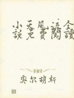 小天风流全集小说免费阅读