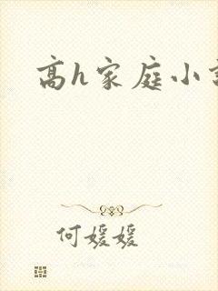 高h家庭小说
