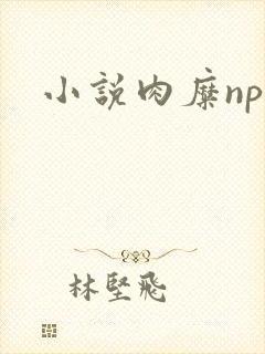 小说肉糜np