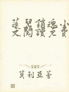 莲儿销魂小说全文阅读免费无弹窗