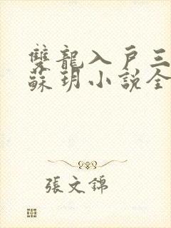 双龙入户三人行苏玥小说全文阅读