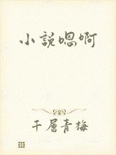 小说嗯啊