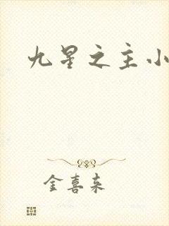九星之主小说