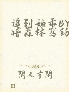 追到她乖BY黑暗森林写的小说