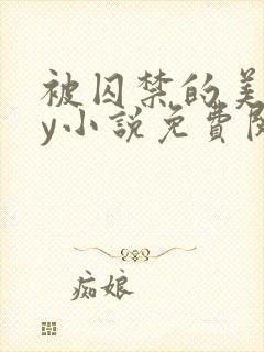 被囚禁的美人by小说免费阅读封面