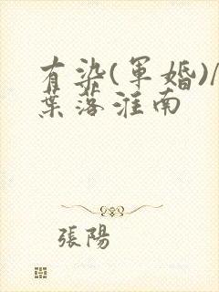 有染(军婚)/叶落淮南