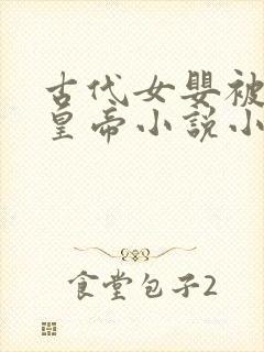 古代女婴被献给皇帝小说小说封面