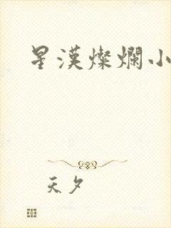 星汉灿烂小说