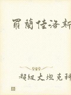 罗兰佳洛斯封面