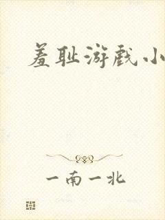 羞耻游戏小说封面