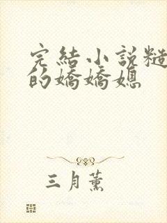 完结小说糙汉家的娇娇媳