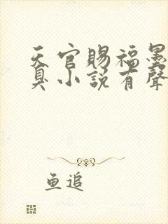 天官赐福墨香铜臭小说有声书免费封面