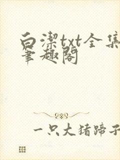 白洁txt全集笔趣阁