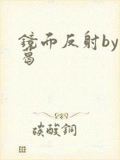 镜面反射by九葛