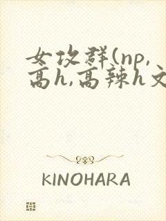 女攻群(np,高h,高辣h文)