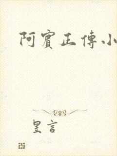 阿宾正传小说封面