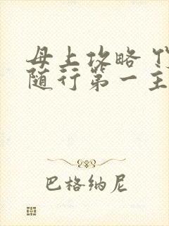 母上攻略 竹影随行第一主板封面