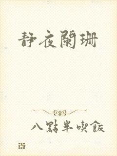 静夜阑珊封面