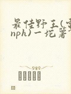 最佳野王(电竞nph)一坨薯饼封面