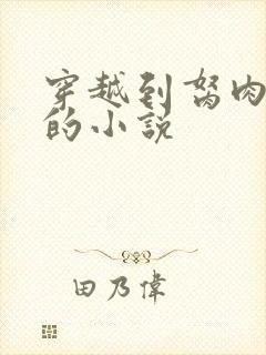 穿越到胬肉系统的小说