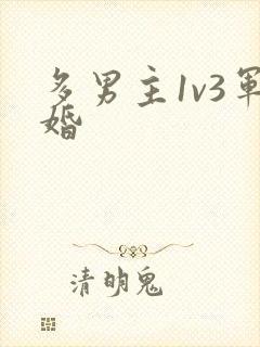多男主1v3军婚