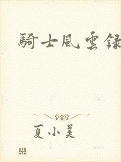 骑士风云录封面