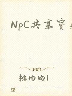 NpC共享宝贝