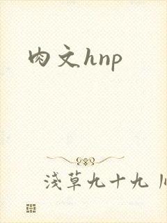 肉文hnp
