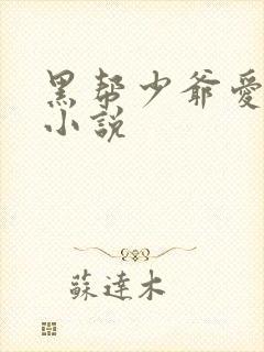 黑帮少爷爱上我小说
