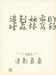 追到她乖BY黑暗森林写的小说