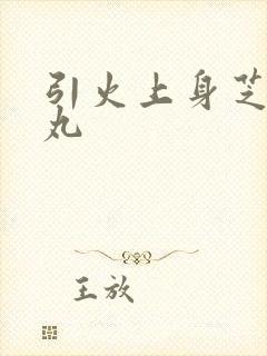 引火上身芝麻糖丸