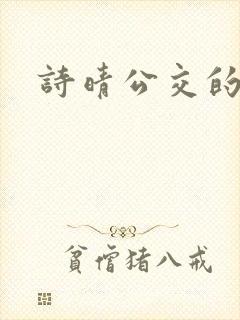 诗晴公交的小说