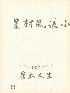 农村风流小说封面