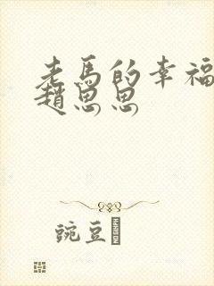 老马的幸福生活赵思思